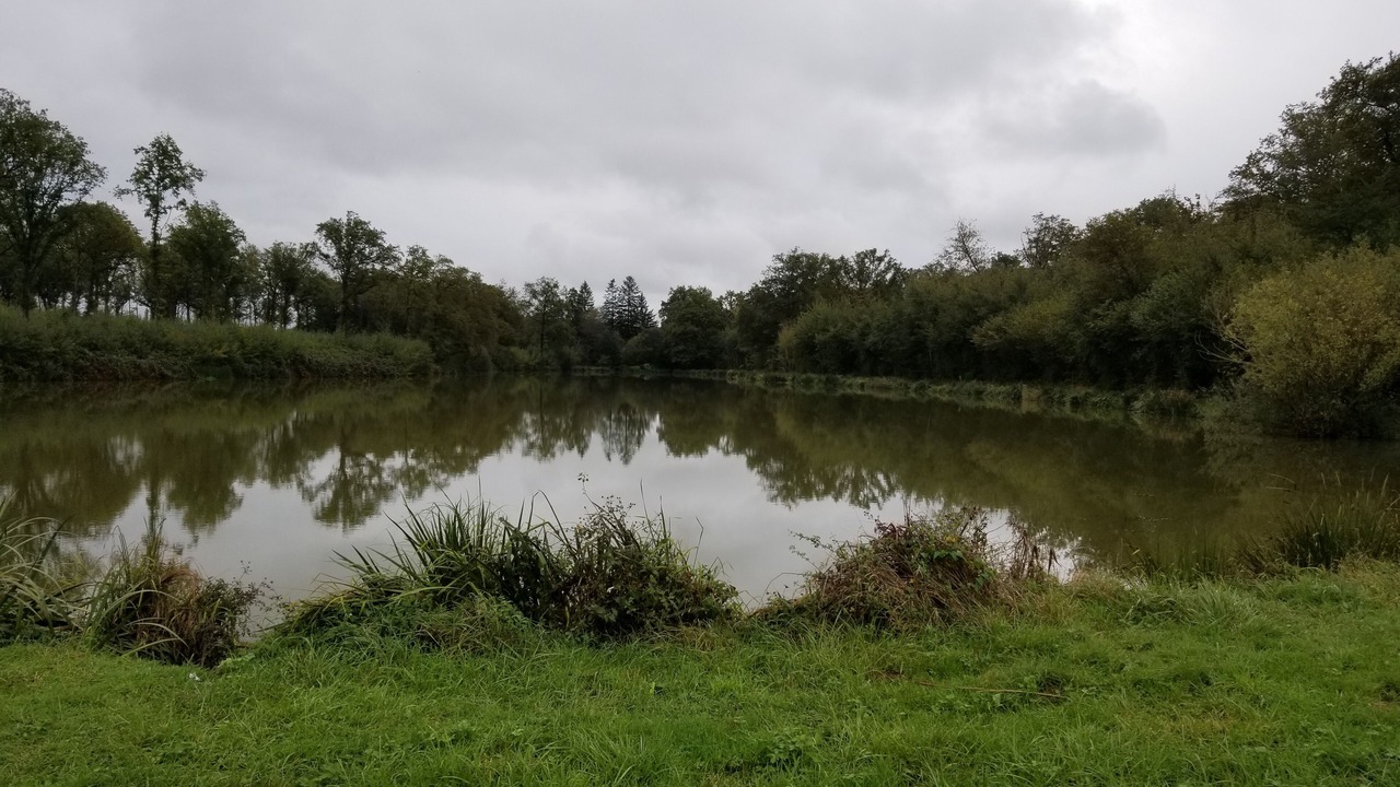 Photo of Outdoor in La Chapelle-Naude