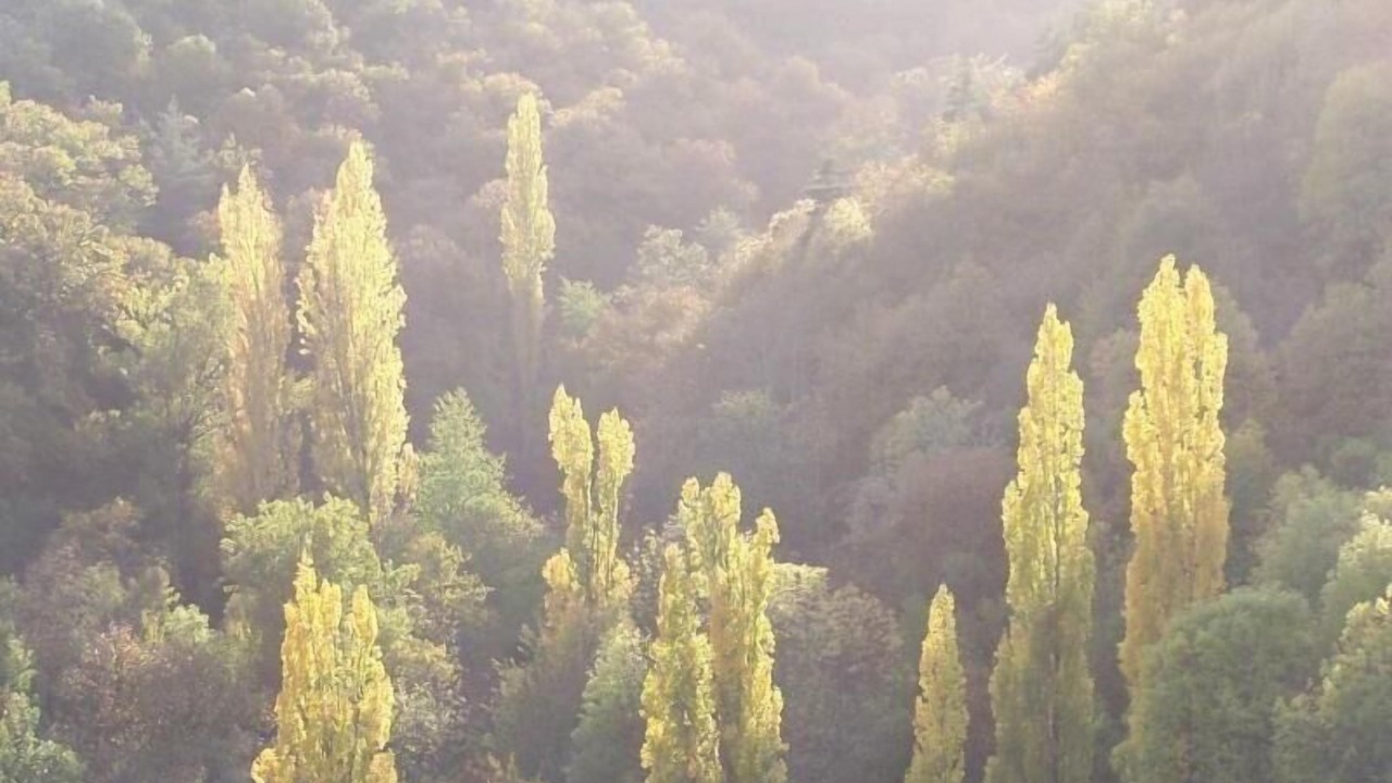 Photo of Others in Gluiras