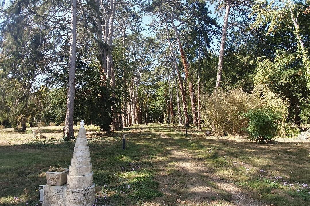 Photo of Outdoor in Amazy