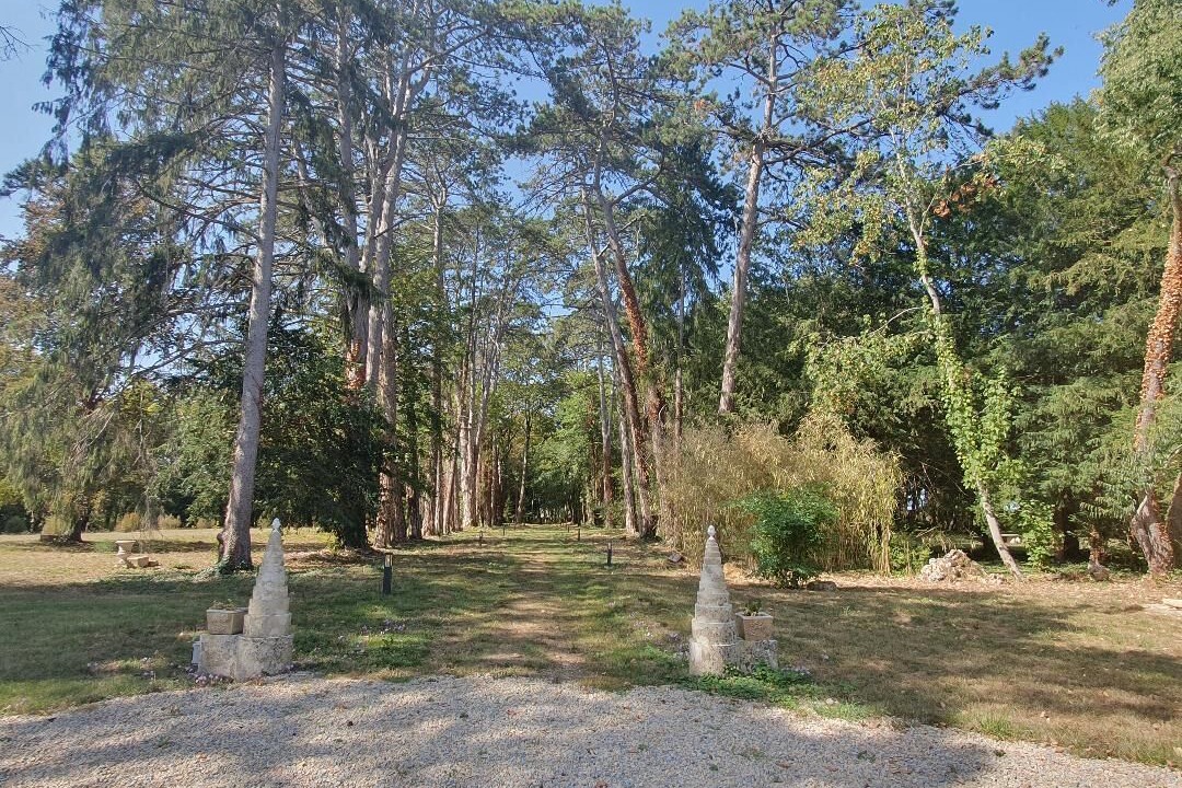 Photo of Outdoor in Amazy