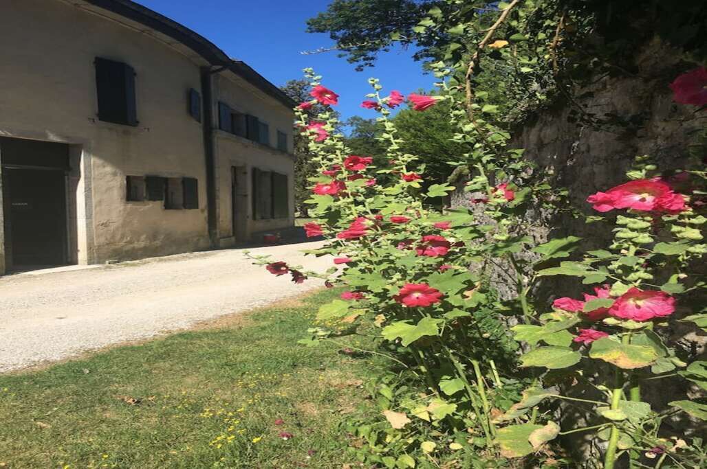 Photo of Outdoor in Syam
