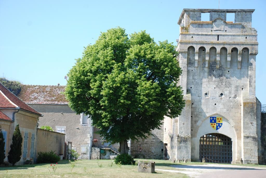 Photo of Outdoor in Druyes-les-Belles-Fontaines