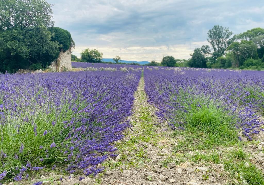 Photo of Outdoor in Grignan
