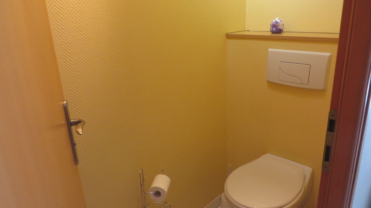 Photo of Bathroom in Clairvaux-les-Lacs