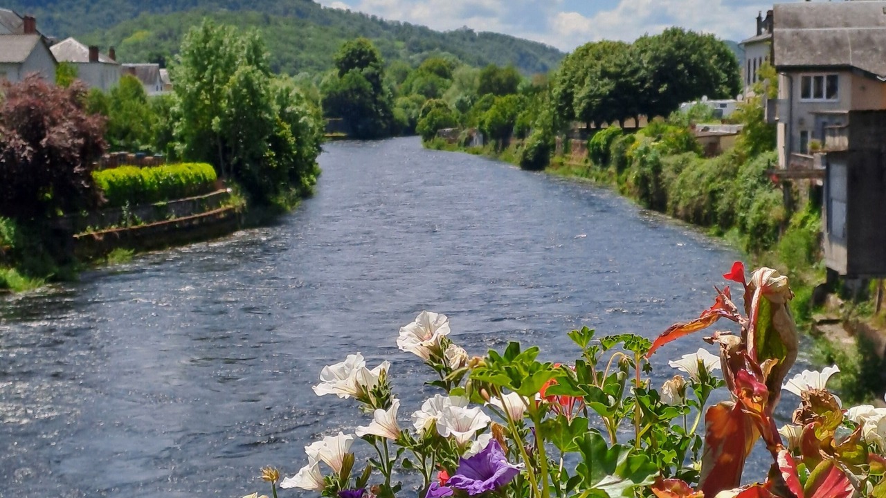 Photo of Others in Bort-les-Orgues
