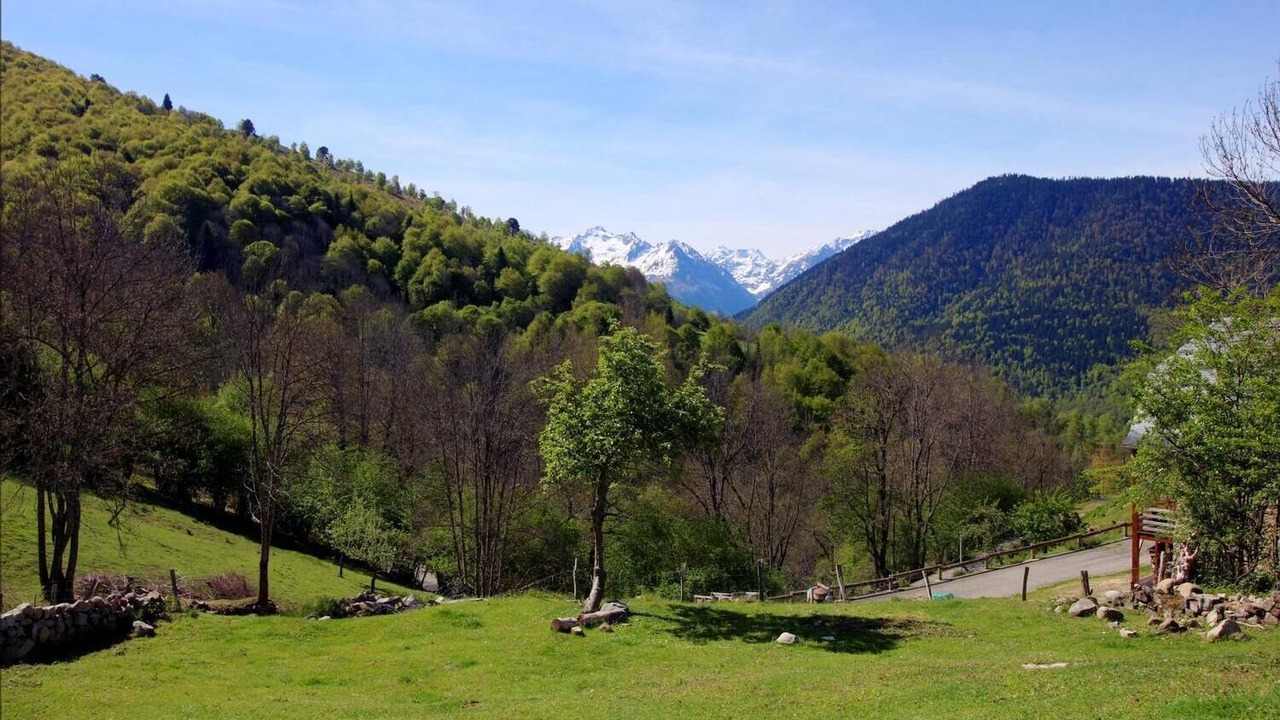 Photo of Outdoor in Ris