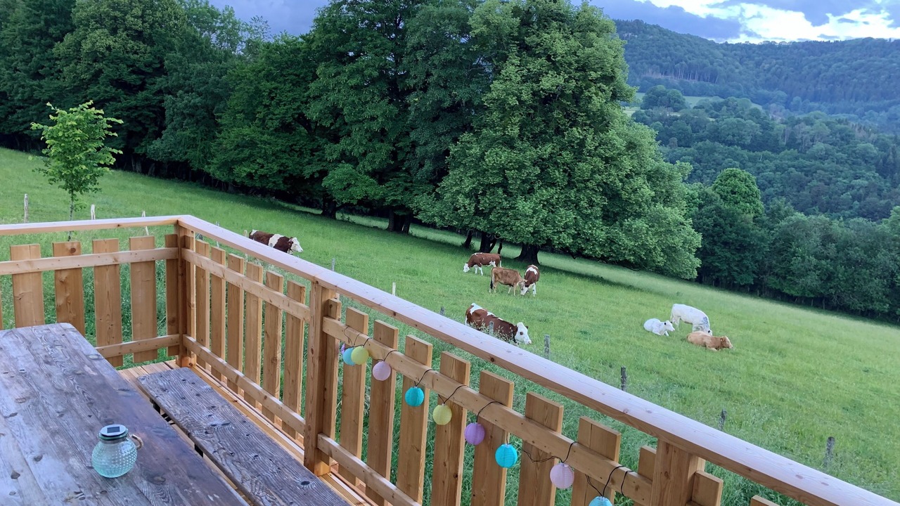 Photo of Outdoor in Vaucluse