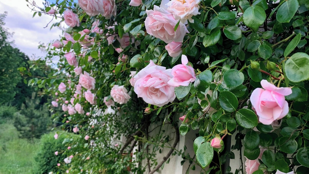 Photo of Outdoor in Vaucluse