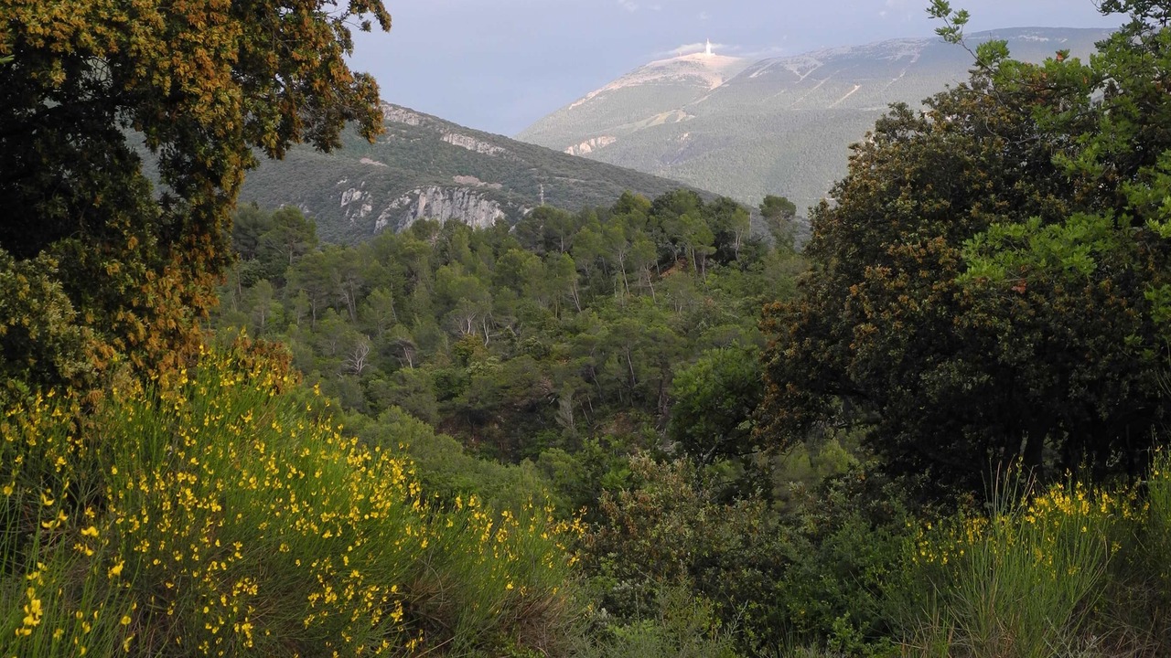 Photo of Outdoor in Mollans-sur-Ouveze