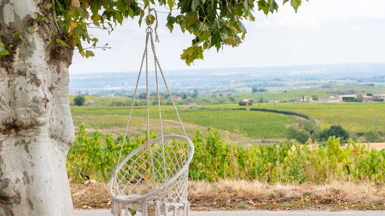 Photo of Outdoor in Regnie-Durette