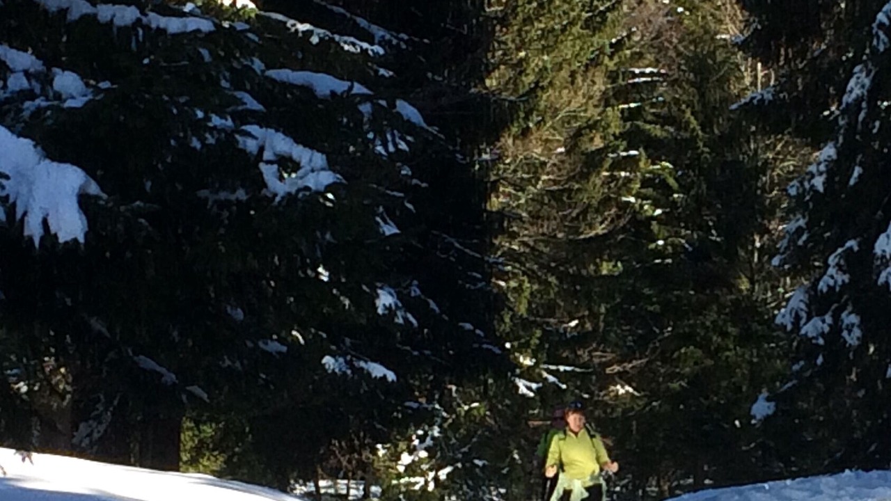 Photo of Others in Lajoux
