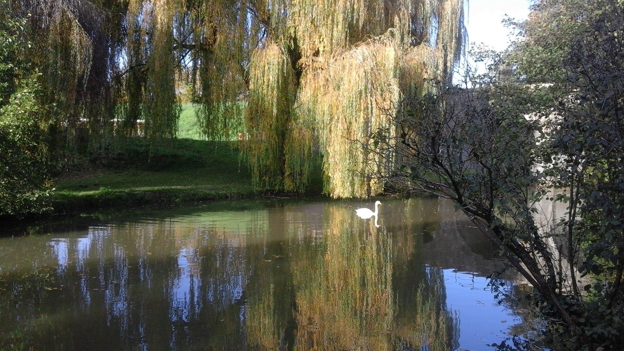 Photo of Outdoor in Charolles