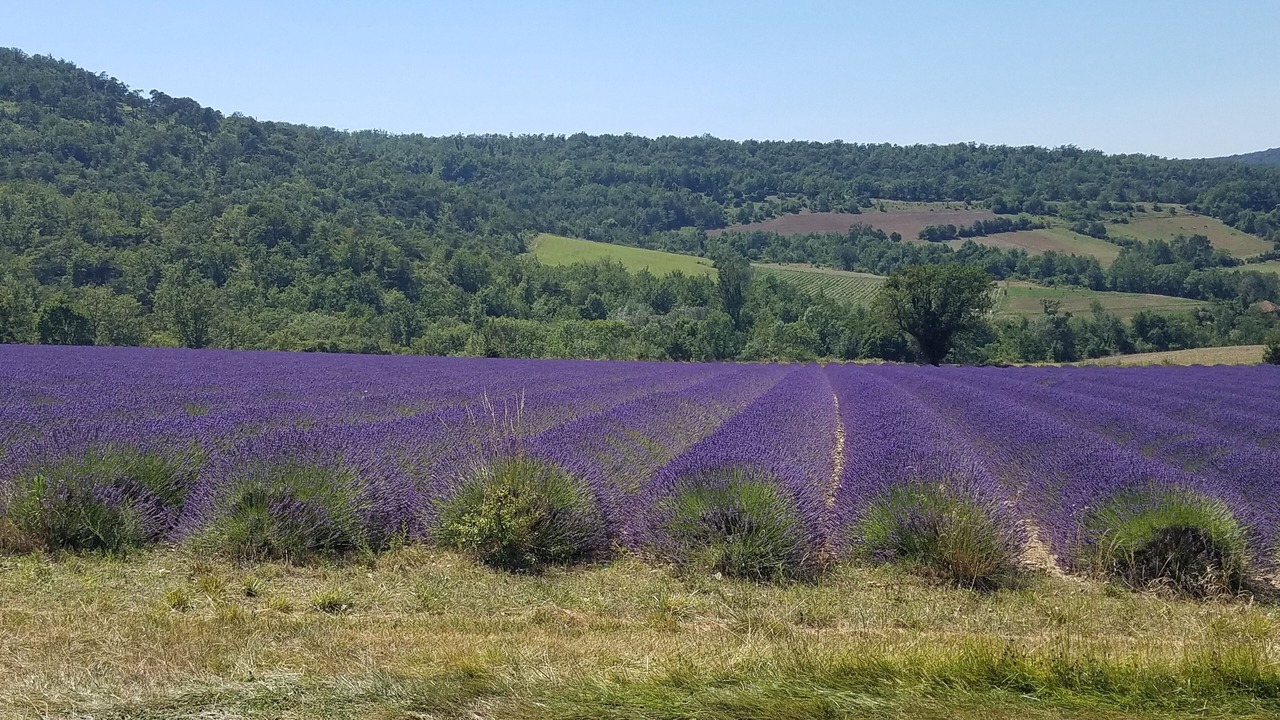Photo of Others in Saint-Maurice-sur-Eygues