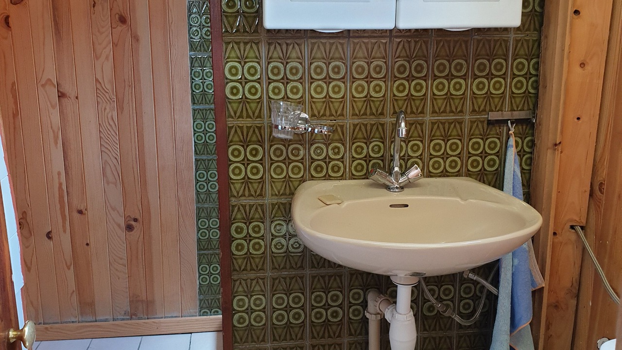 Photo of Bathroom in Tronget