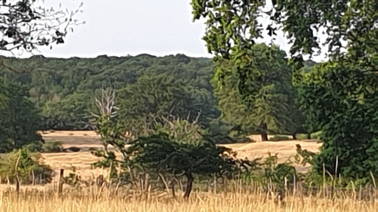 Photo of Outdoor in Tronget