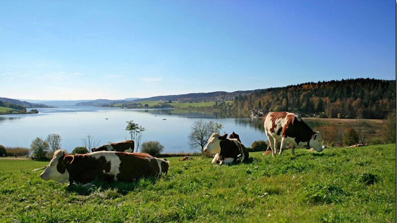 Photo of Others in Verrieres-de-Joux