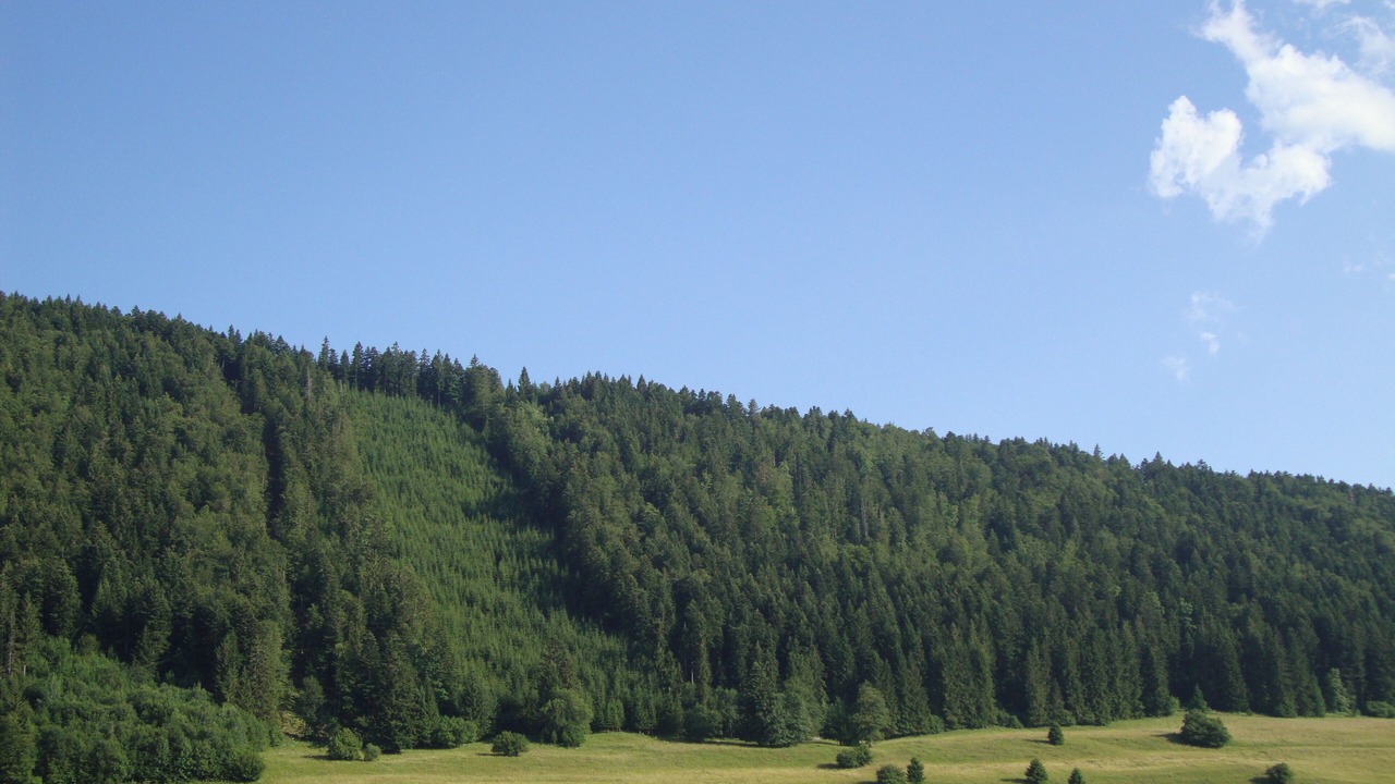 Photo of Others in Verrieres-de-Joux