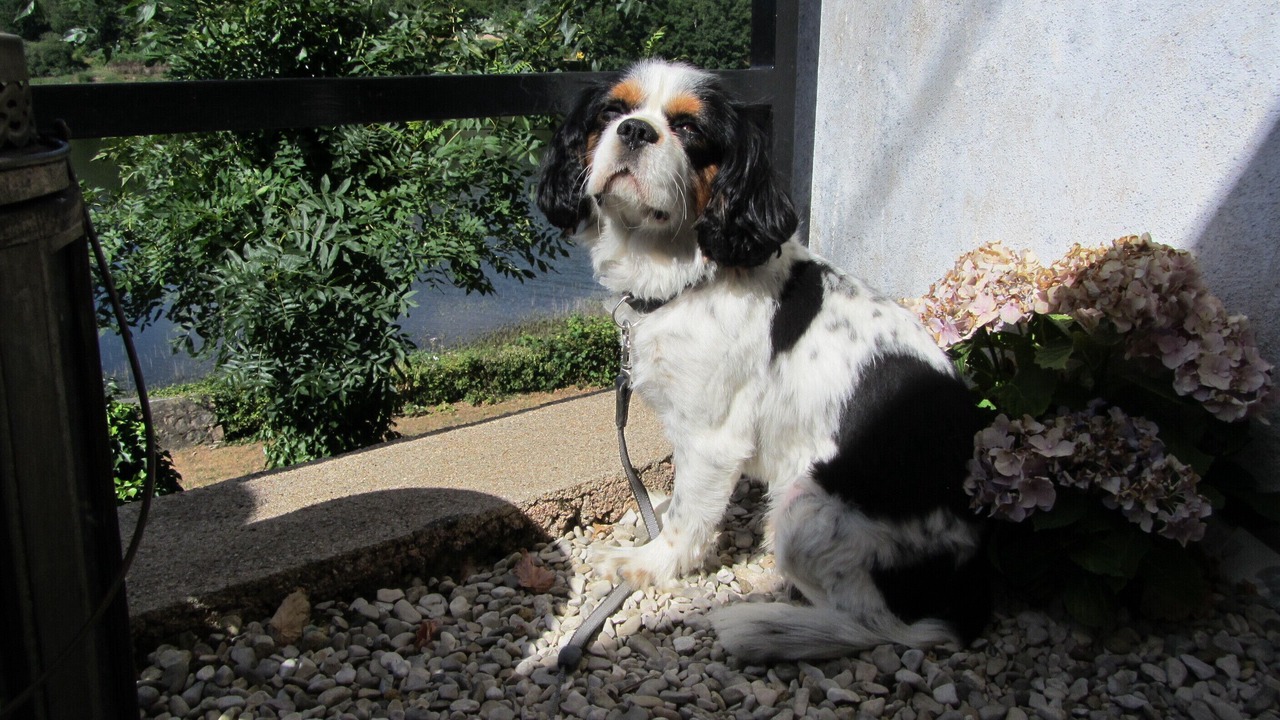 Photo of Outdoor in Corancy