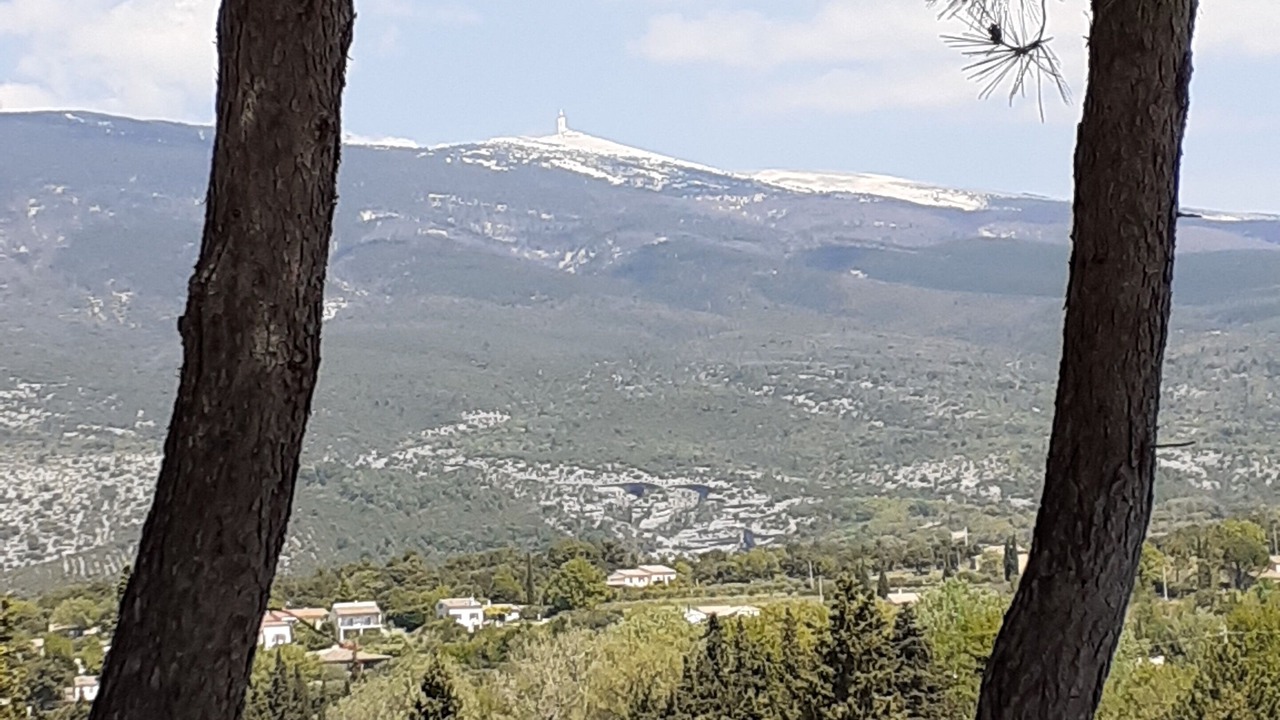 Photo of Others in Bedoin