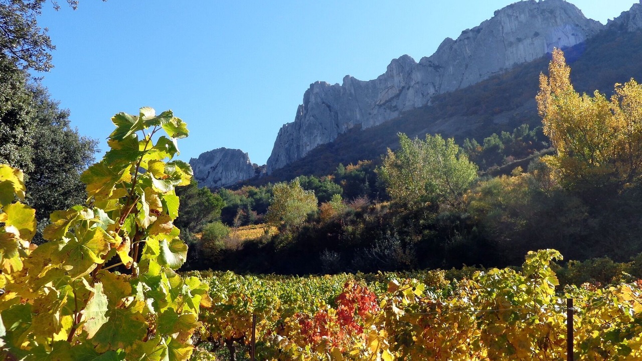 Photo of Outdoor in Saint-Maurice-sur-Eygues