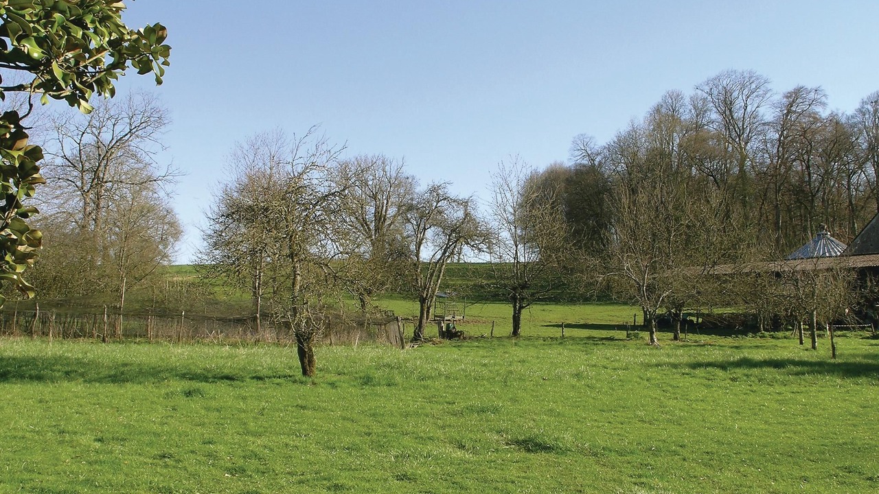 Photo of Others in Saint-Jean-aux-Amognes