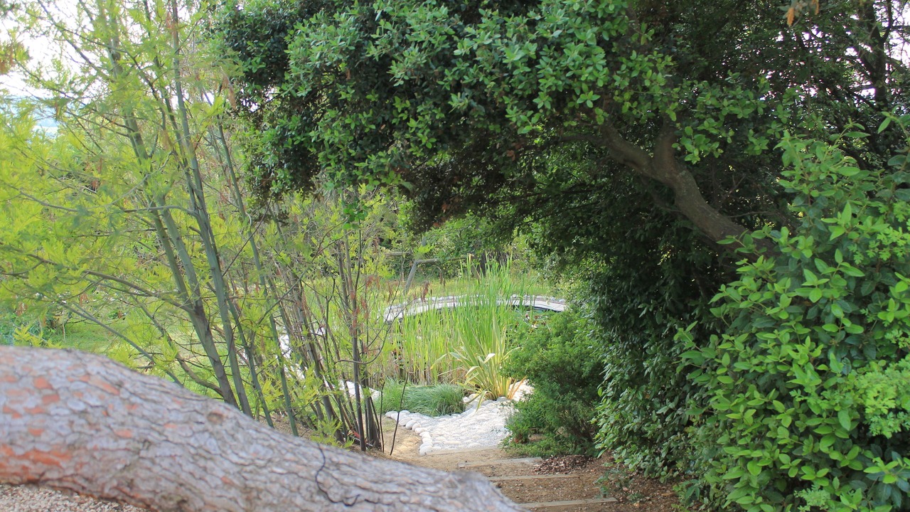 Photo of Outdoor in Vaison-la-Romaine