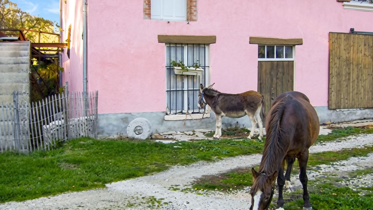 Photo of Others in Chirens