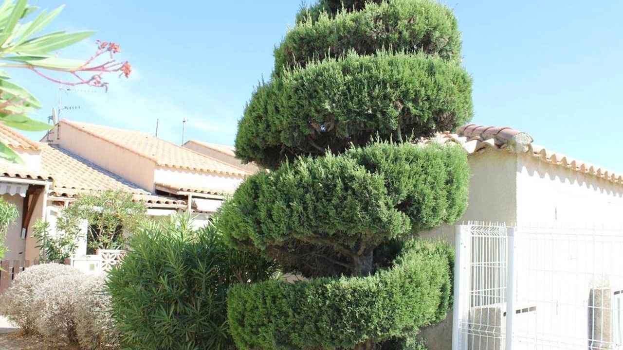 Photo of Outdoor in Gruissan