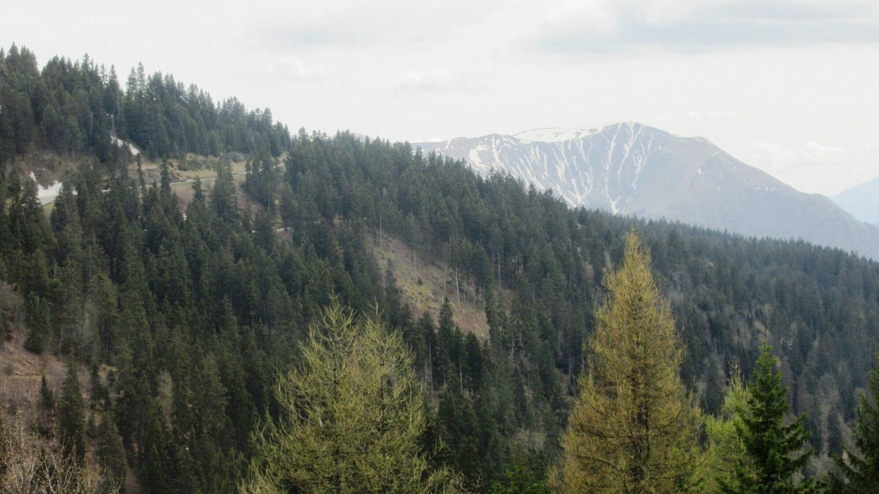 Photo of Others in Chamrousse