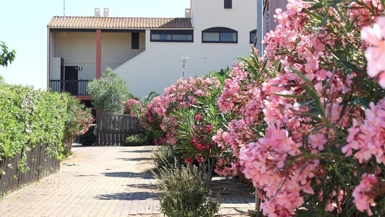 Photo of Outdoor in Gruissan