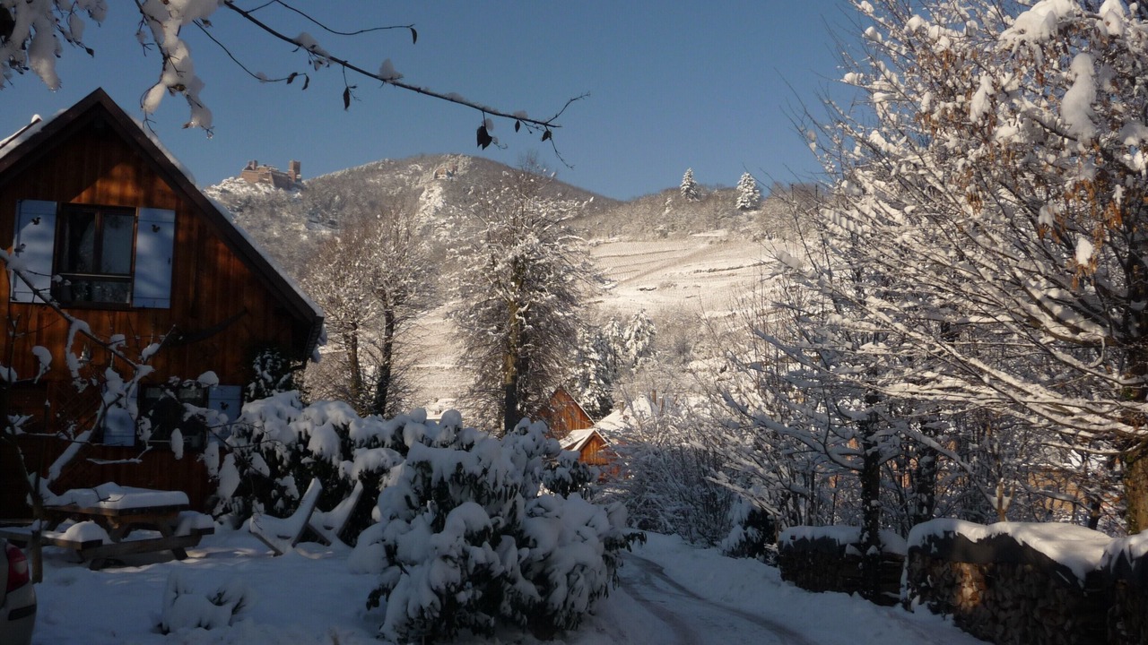 Photo of Outdoor in Ribeauville