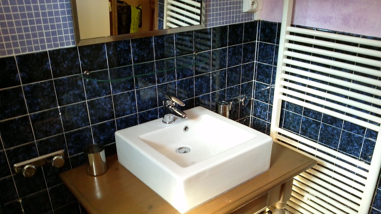 Photo of Bathroom in Magny-les-Aubigny