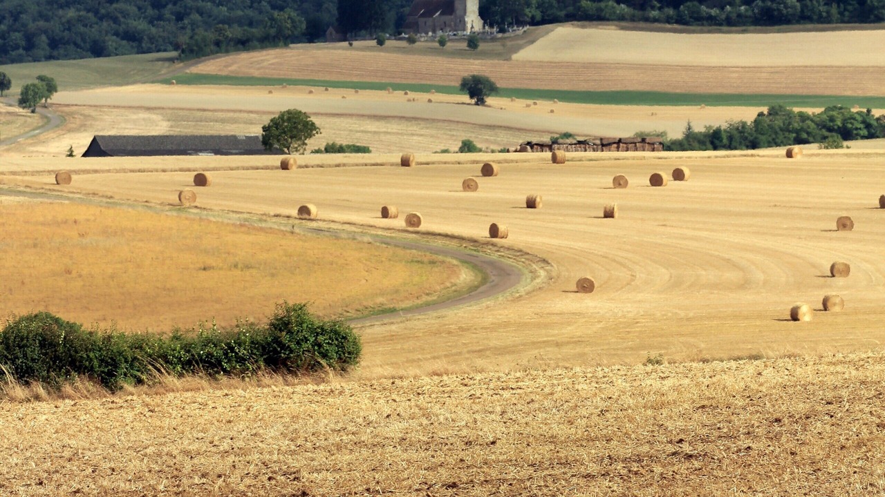 Photo of Others in Fontenay-pres-Vezelay