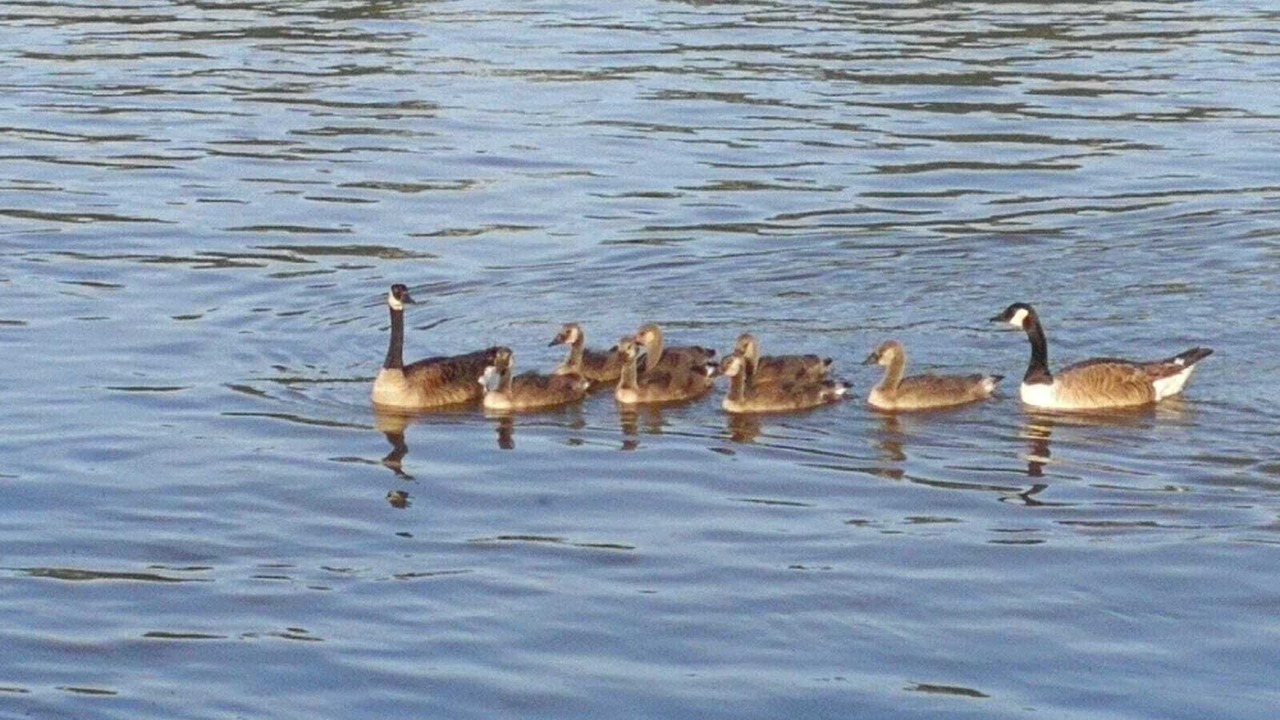 Photo of Others in Saint-Louis