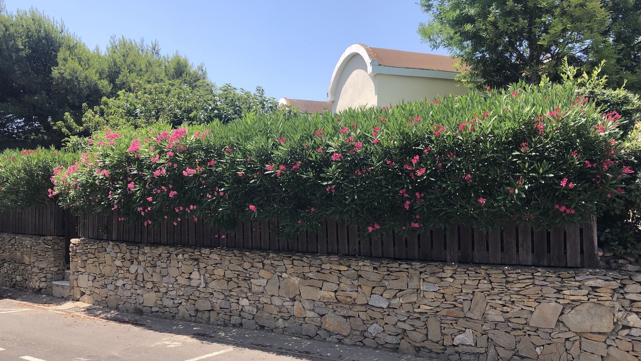 Photo of Outdoor in Gruissan