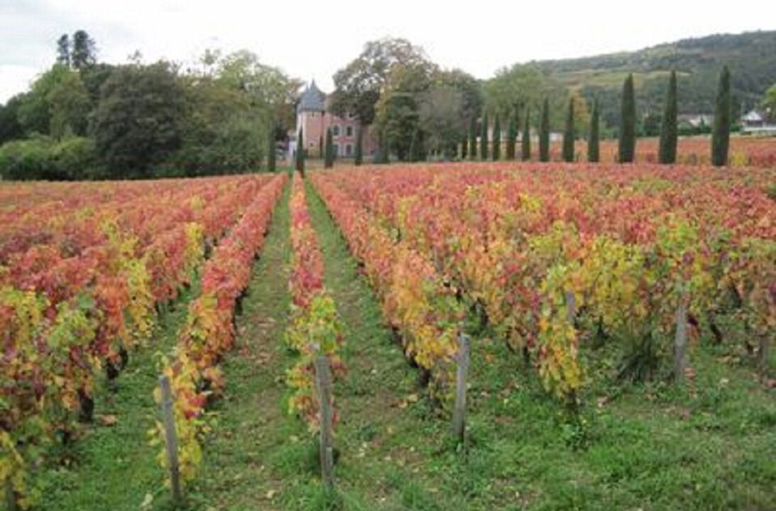 Photo of Outdoor in Beaune