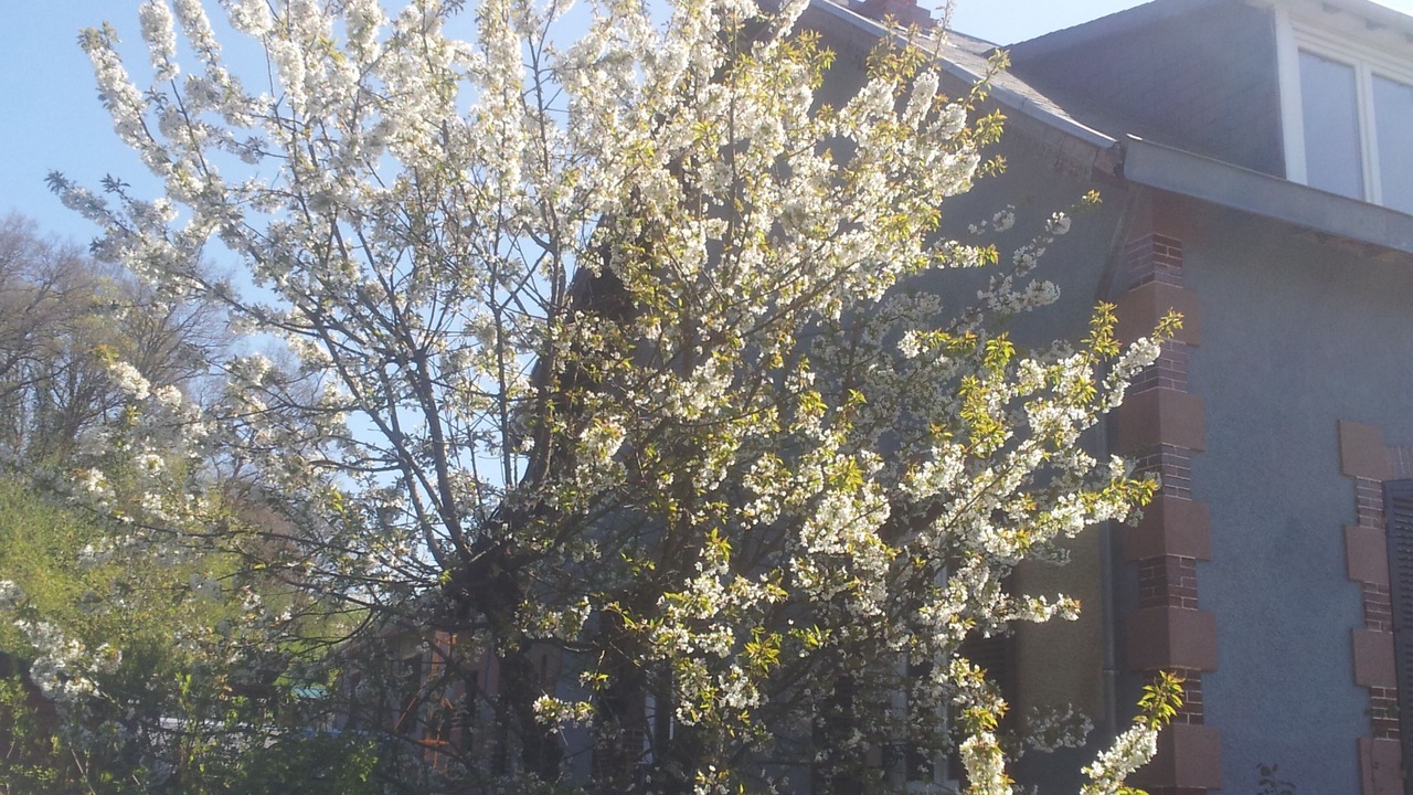 Photo of Outdoor in Saint-Honore-les-Bains