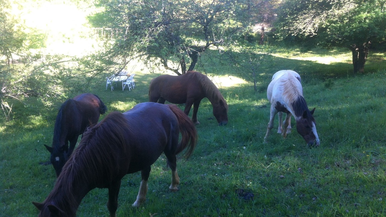 Photo of Others in Chamoux