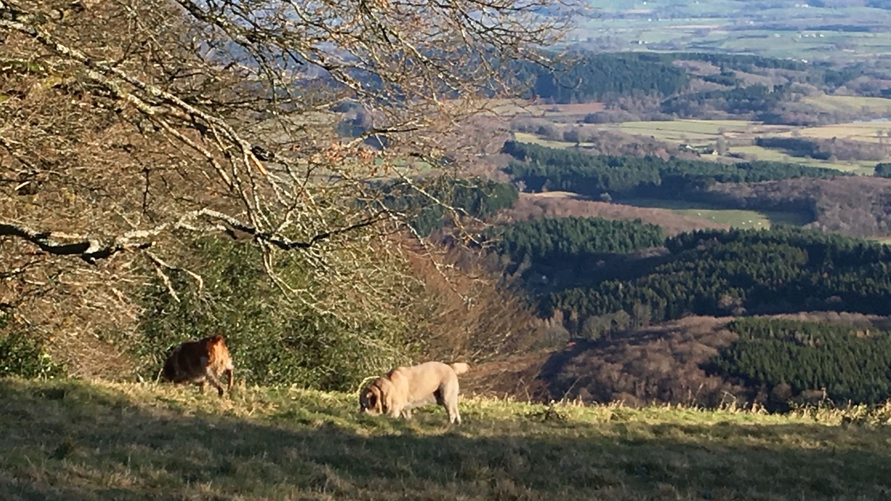 Photo of Others in Saint-Didier-sur-Arroux