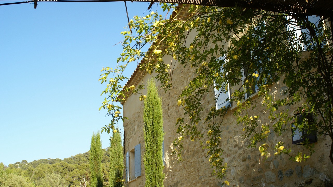 Photo of Outdoor in Venasque