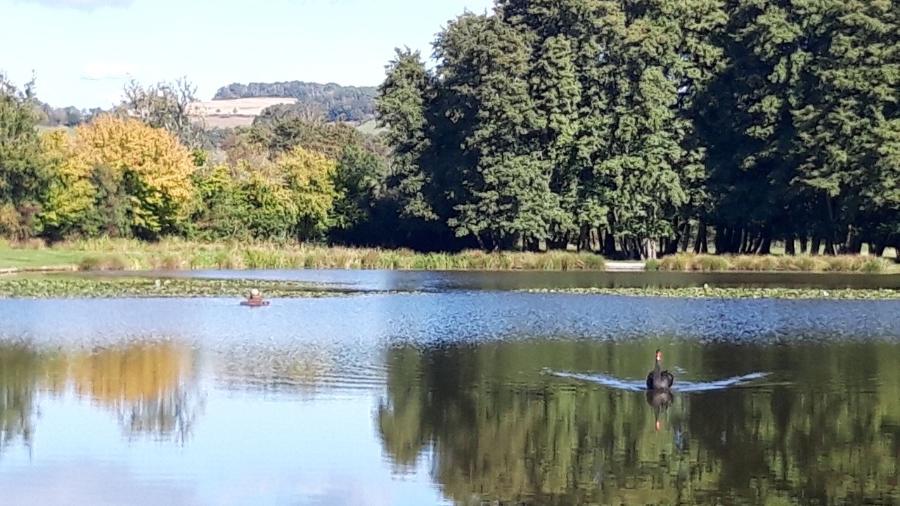 Photo of Outdoor in Saint-Honore-les-Bains