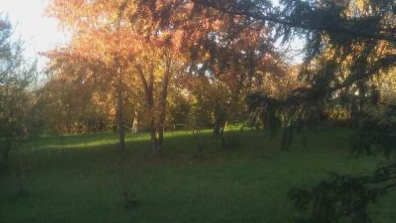 Photo of Outdoor in Champallement