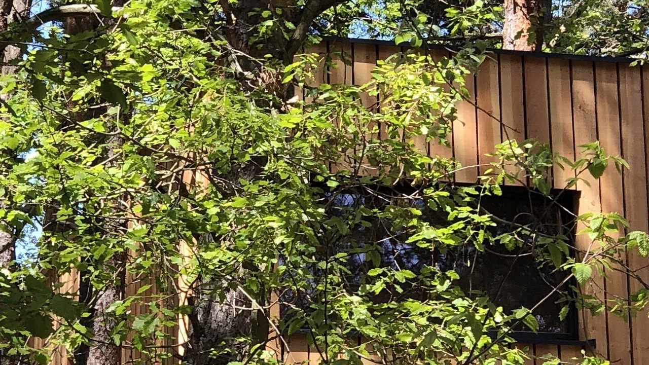 Photo of Outdoor in Labaroche
