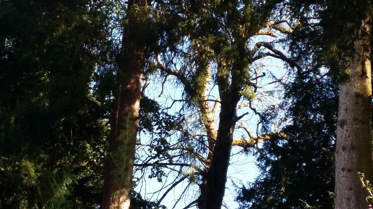 Photo of Outdoor in Salins-les-Bains