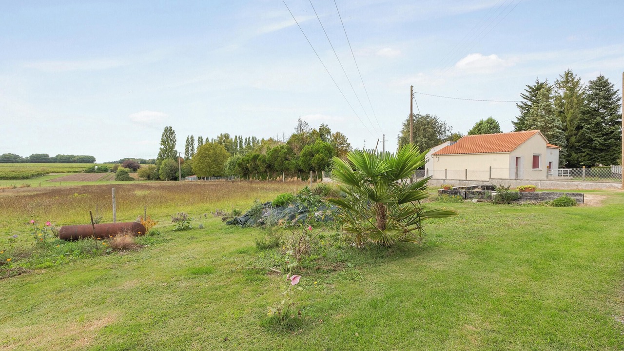 Photo of Others in Mortagne-sur-Gironde