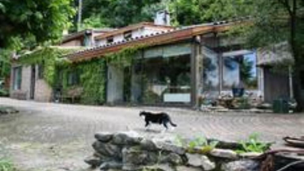 Photo of Outdoor in Saint-Martin-le-Vinoux