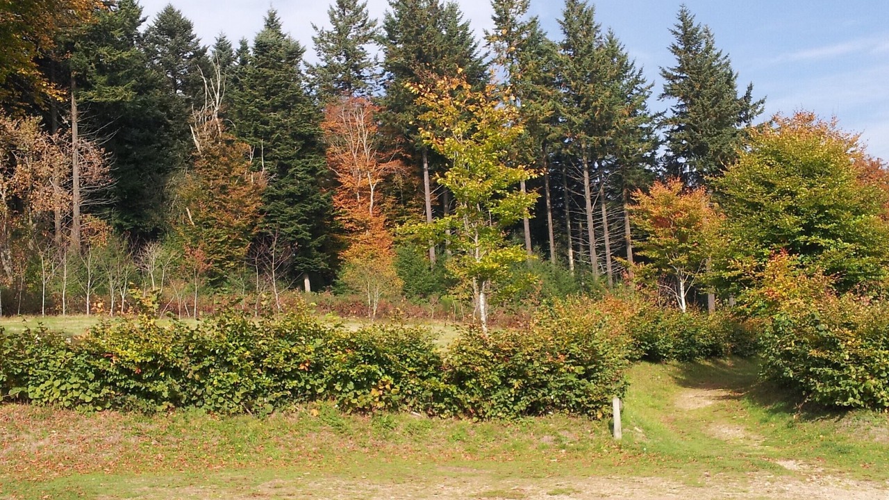 Photo of Outdoor in Saint-Honore-les-Bains