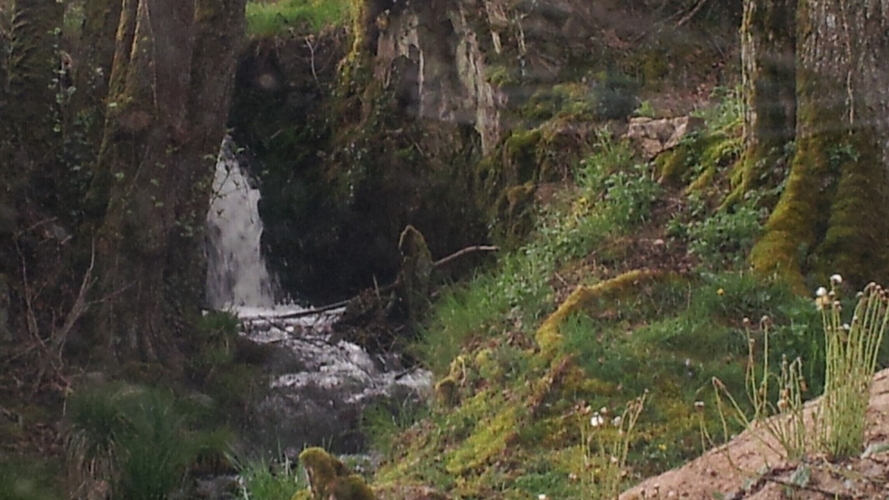 Photo of Outdoor in Saint-Honore-les-Bains