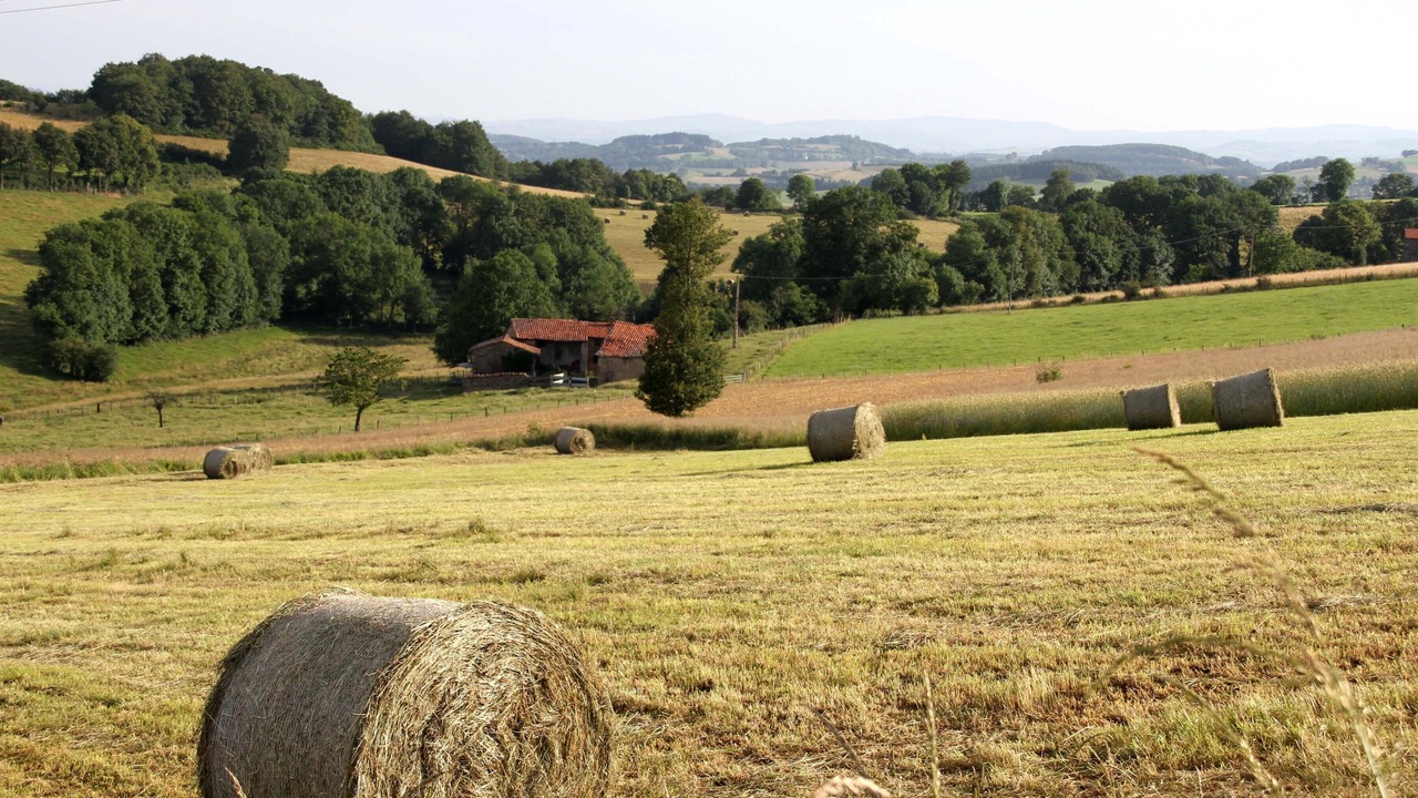 Photo of Outdoor in Chirassimont