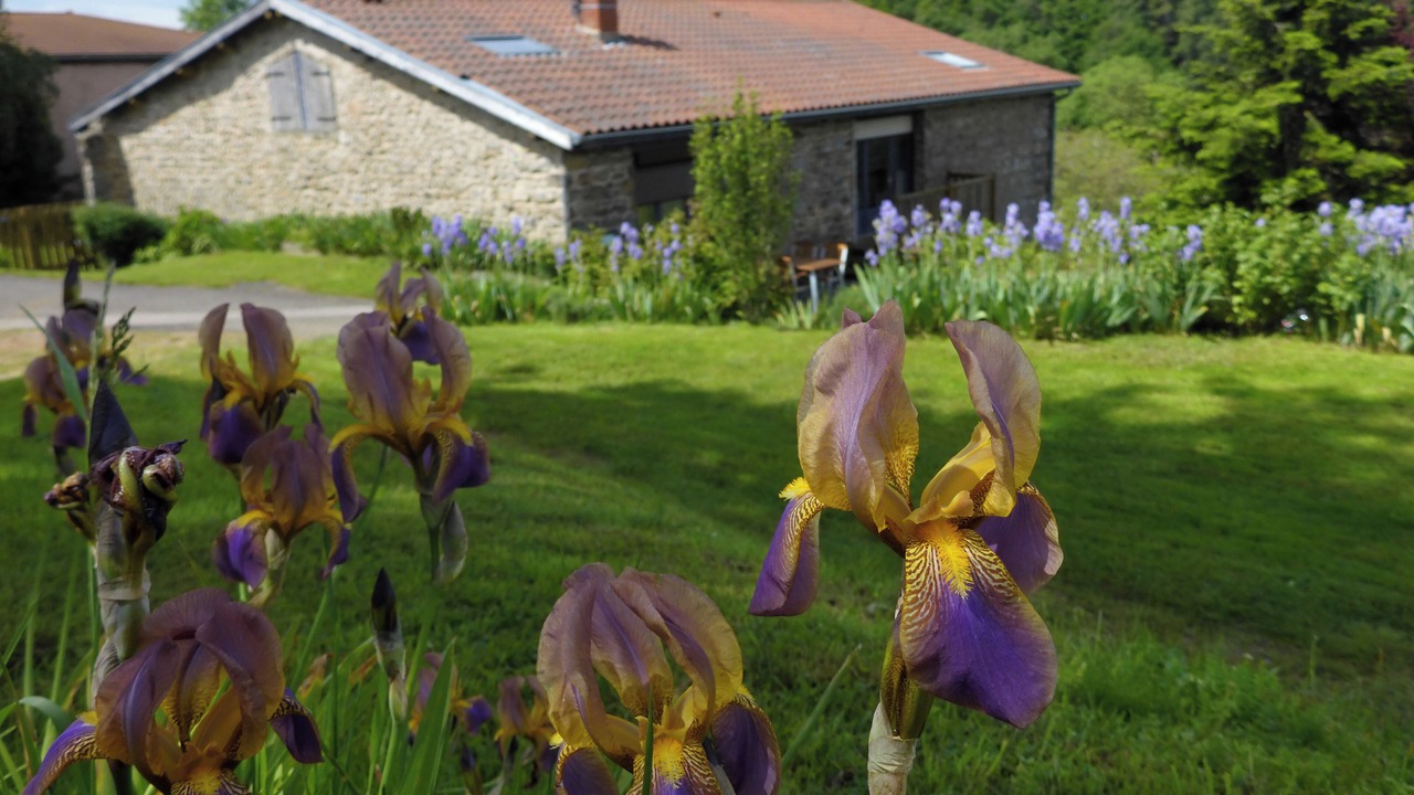 Photo of Outdoor in Chirassimont
